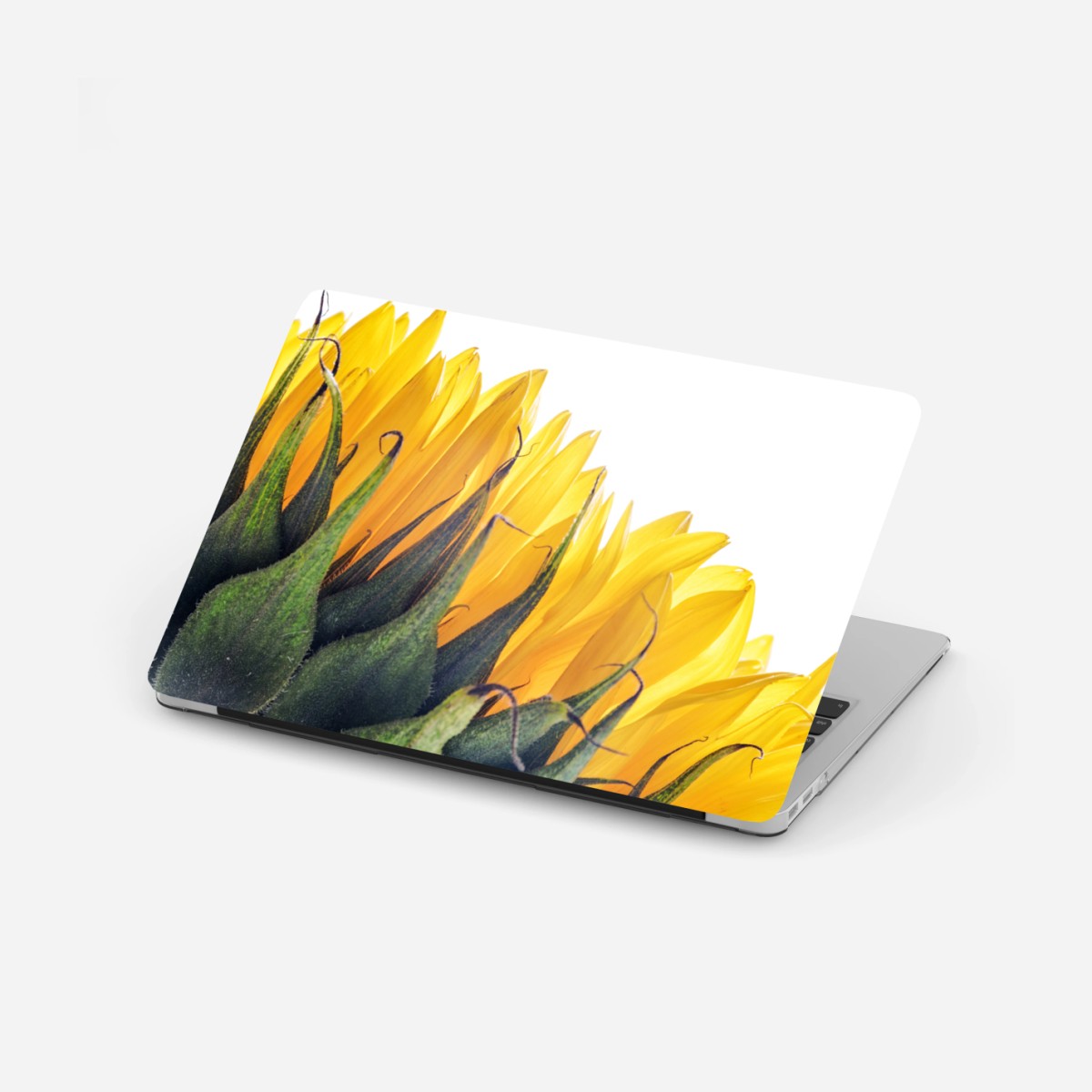 Adesivo per laptop girasole in controluce su sfondo bianco • Wallissimo®