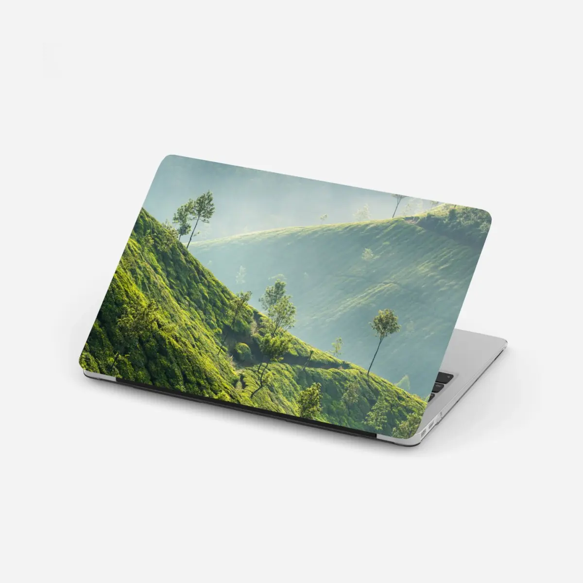 Adesivo per laptop paesaggio verde delle piantagioni di tè a Munnar • Wallissimo®