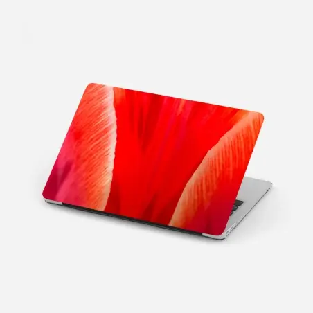 Adesivo per laptop petali di tulipano in primo piano • Wallissimo®