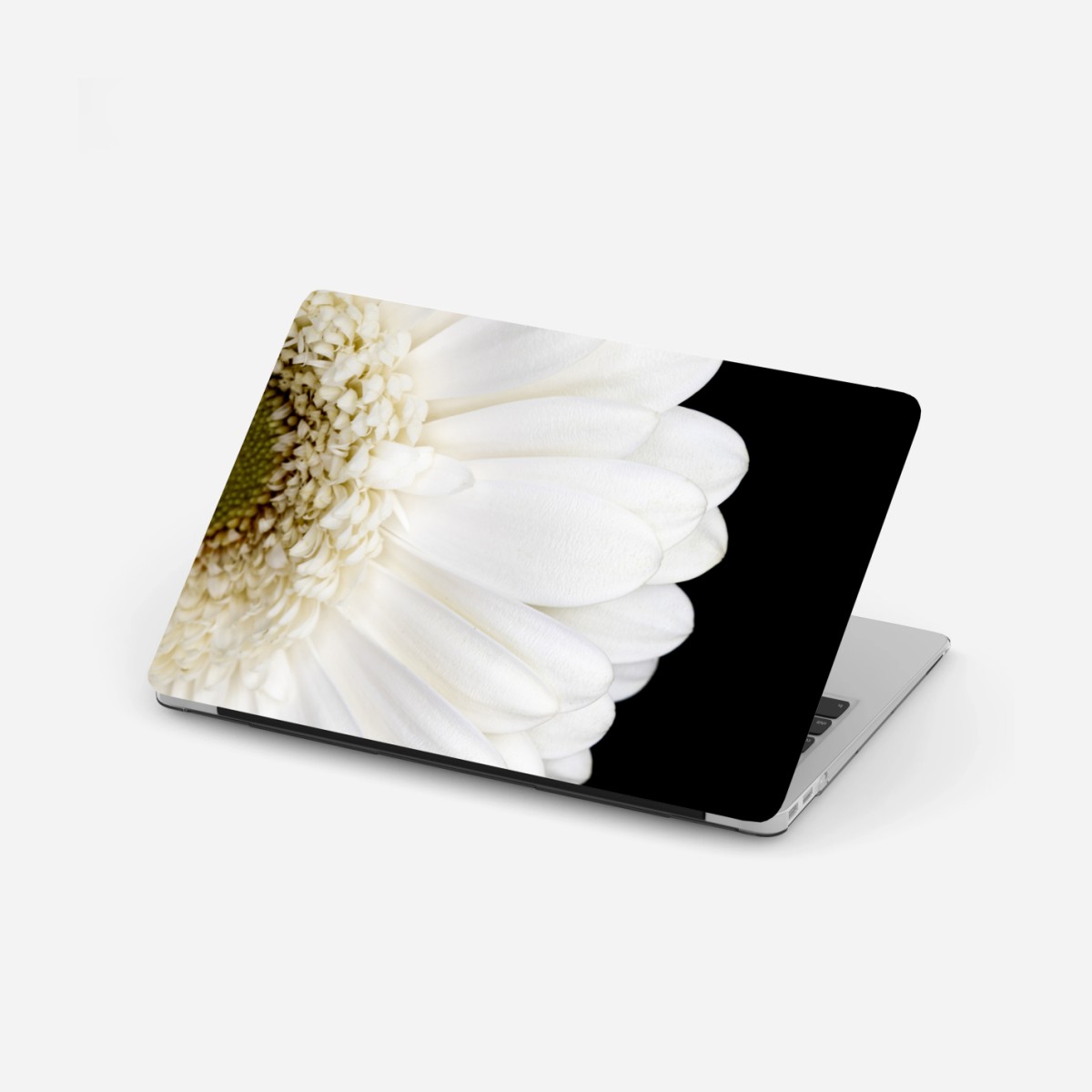 Adesivo per laptop gerbera bianca su sfondo nero • Wallissimo®