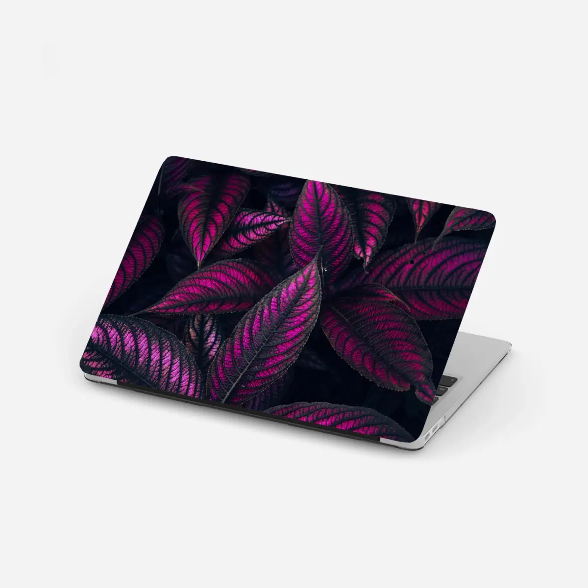 Adesivo per laptop motivo botanico con foglie magenta • Wallissimo®