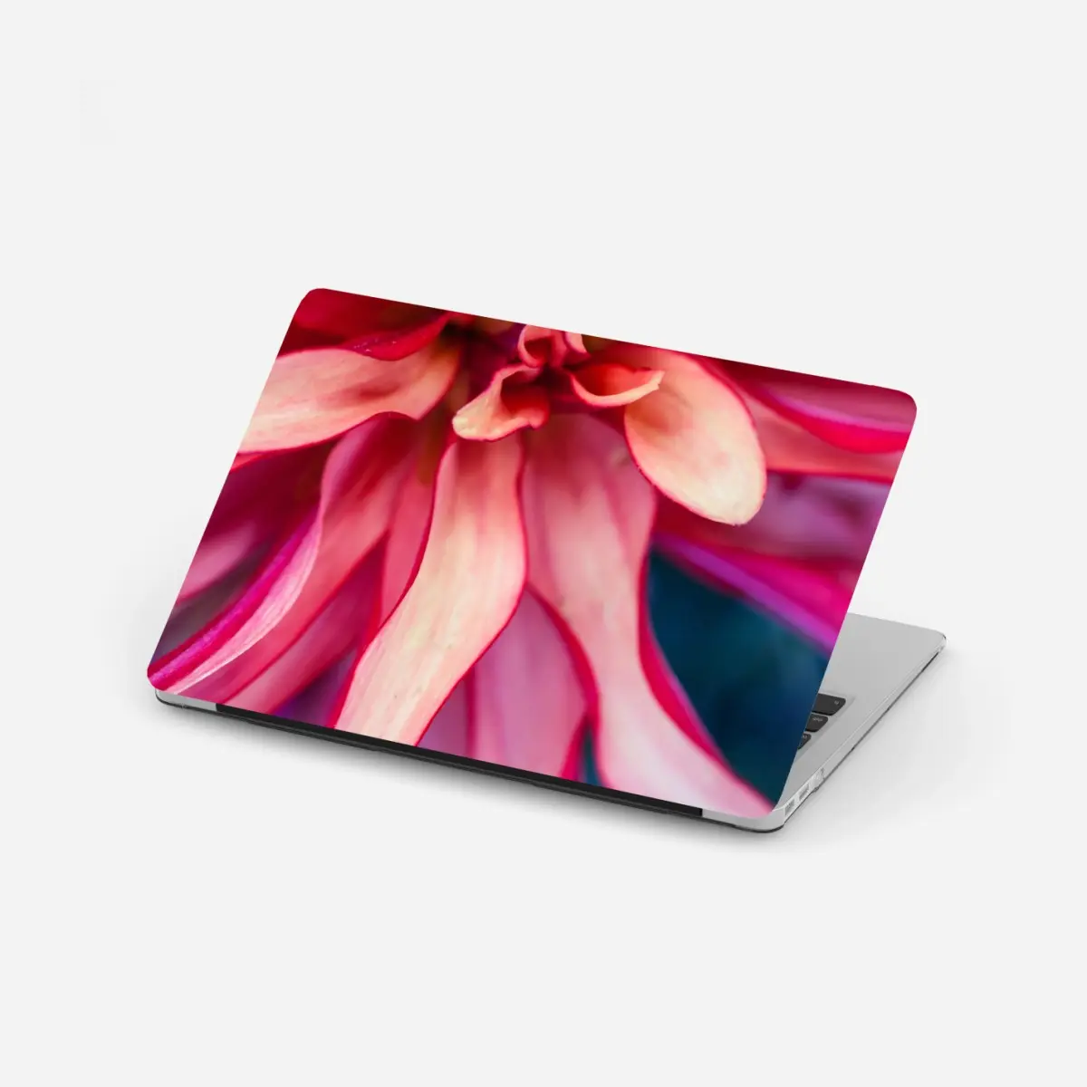 Adesivo per laptop petali in rosa: dettaglio floreale astratto • Wallissimo®