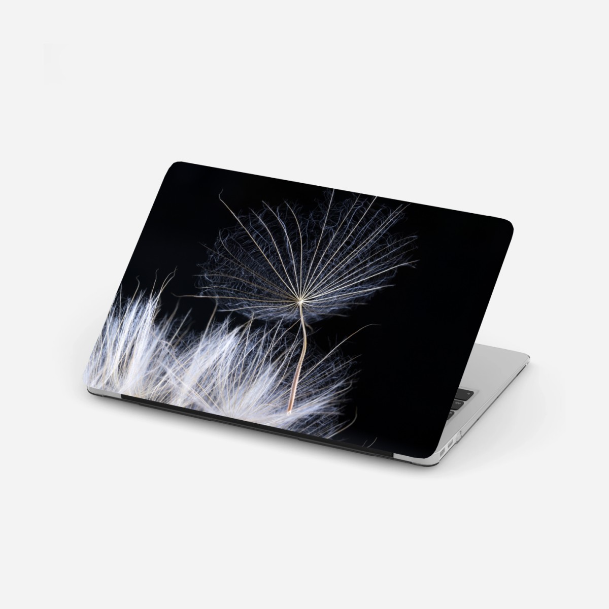 Adesivo per laptop soffione sospeso su sfondo nero • Wallissimo®