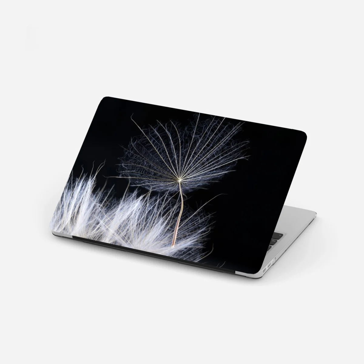 Adesivo per laptop soffione sospeso su sfondo nero • Wallissimo® Adesivo per laptop soffione sospeso su sfondo nero • Wallissimo®