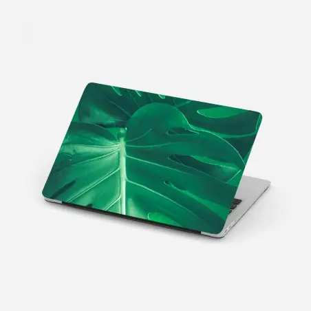 Adesivo per laptop elegante foglia di monstera su sfondo verde • Wallissimo®