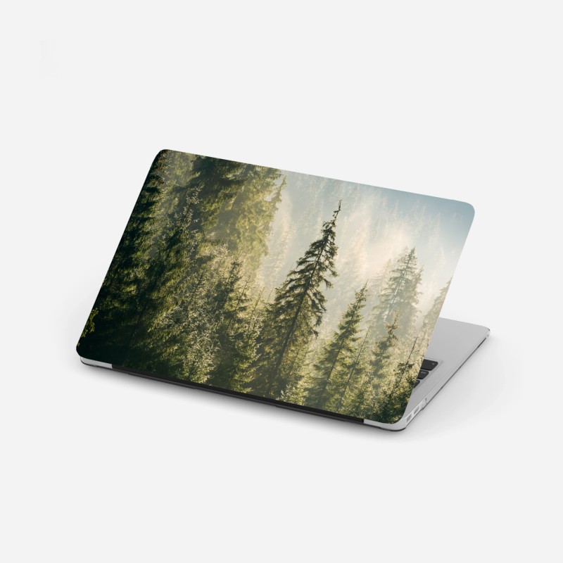 Adesivo per laptop foresta di abeti nella nebbia mattutina