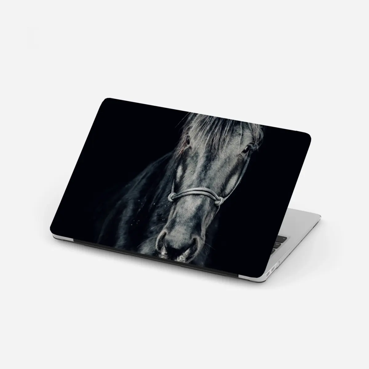 Adesivo per laptop sguardo d'inverno: ritratto di cavallo nero • Wallissimo®