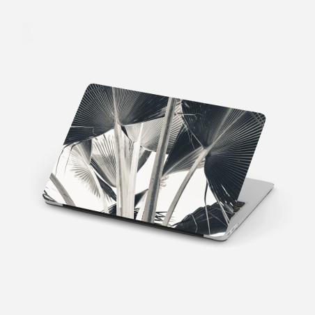 Adesivo per laptop dettaglio di palme a ventaglio in bianco e nero • Wallissimo®