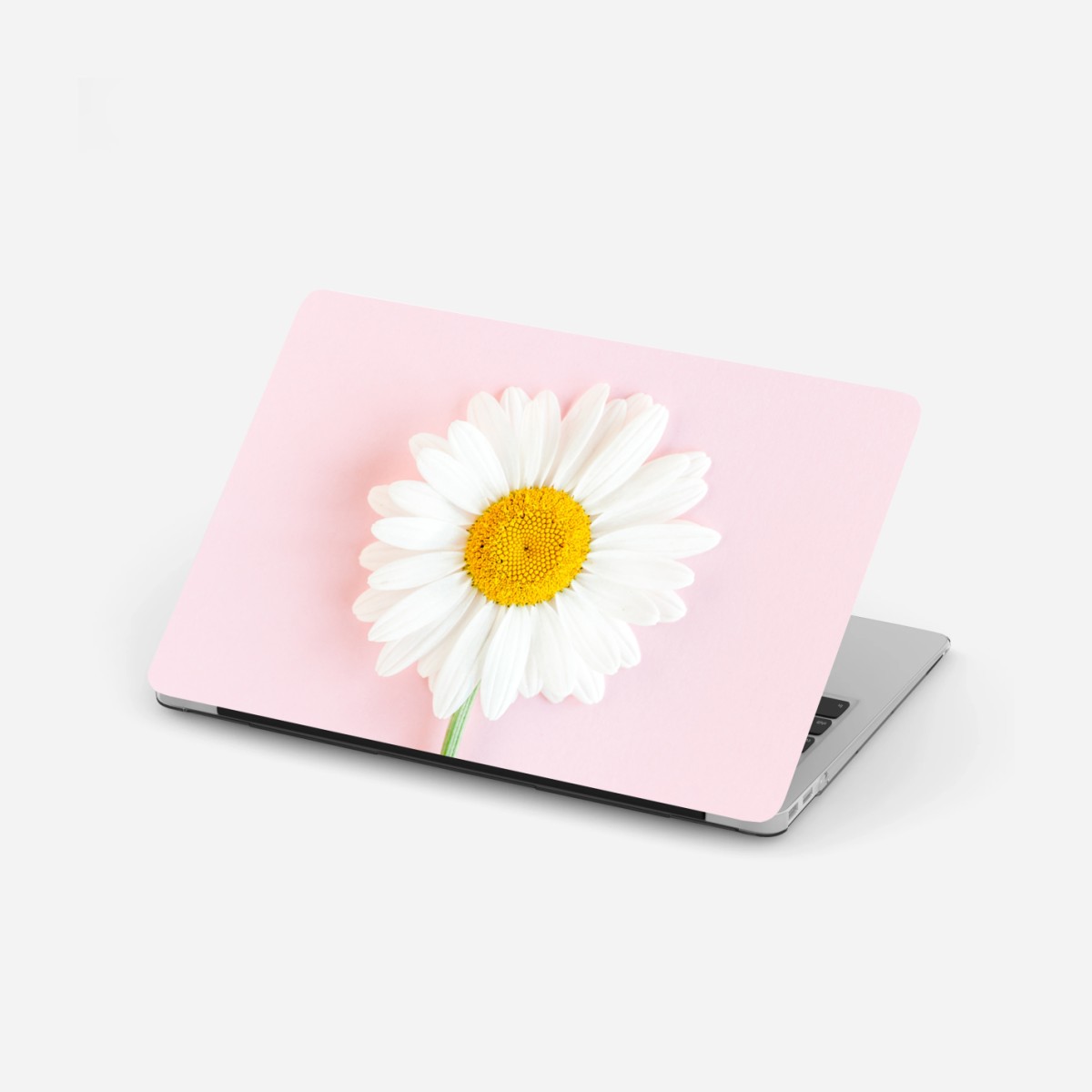 Adesivo per laptop margherita su sfondo rosa pastello • Wallissimo®