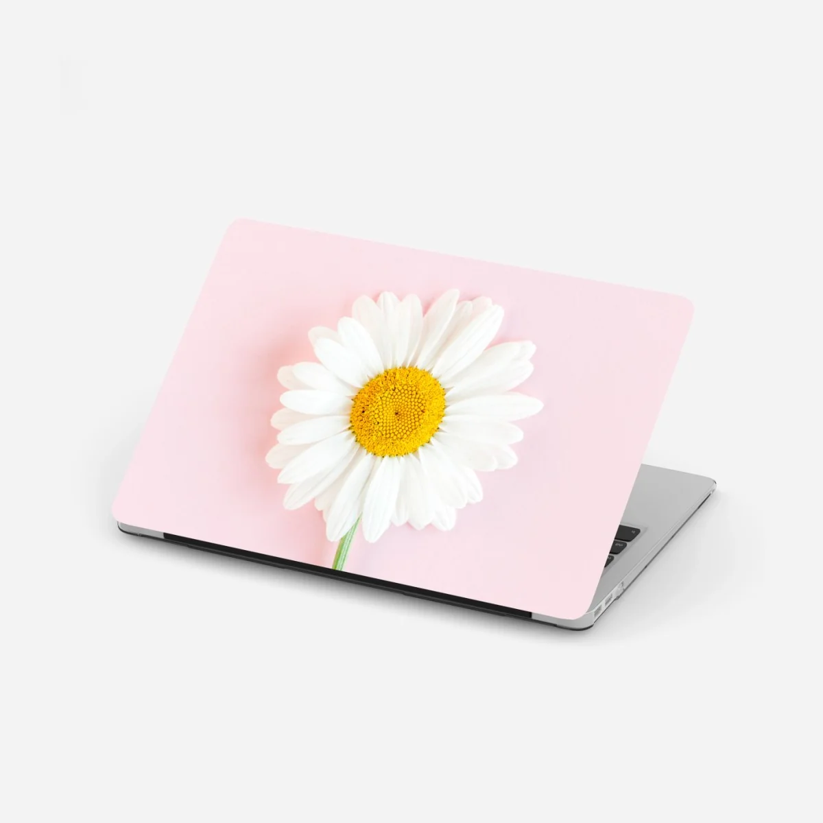 Adesivo per laptop margherita su sfondo rosa pastello • Wallissimo® Adesivo per laptop margherita su sfondo rosa pastello • Wallissimo®