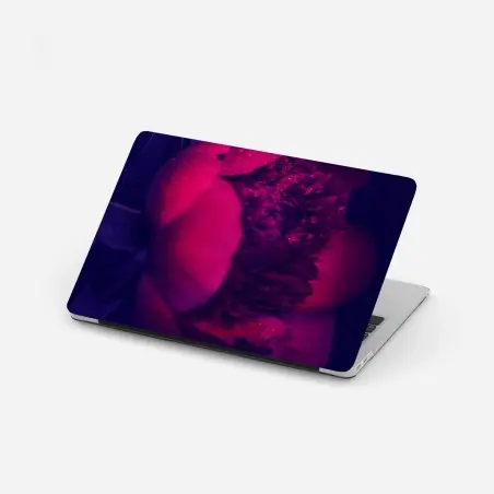 Adesivo per laptop peonia notturna con rugiada • Wallissimo®