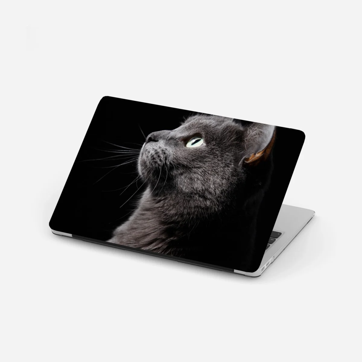 Adesivo per laptop ritratto etereo di gatto grigio • Wallissimo® Adesivo per laptop ritratto etereo di gatto grigio • Wallissimo®