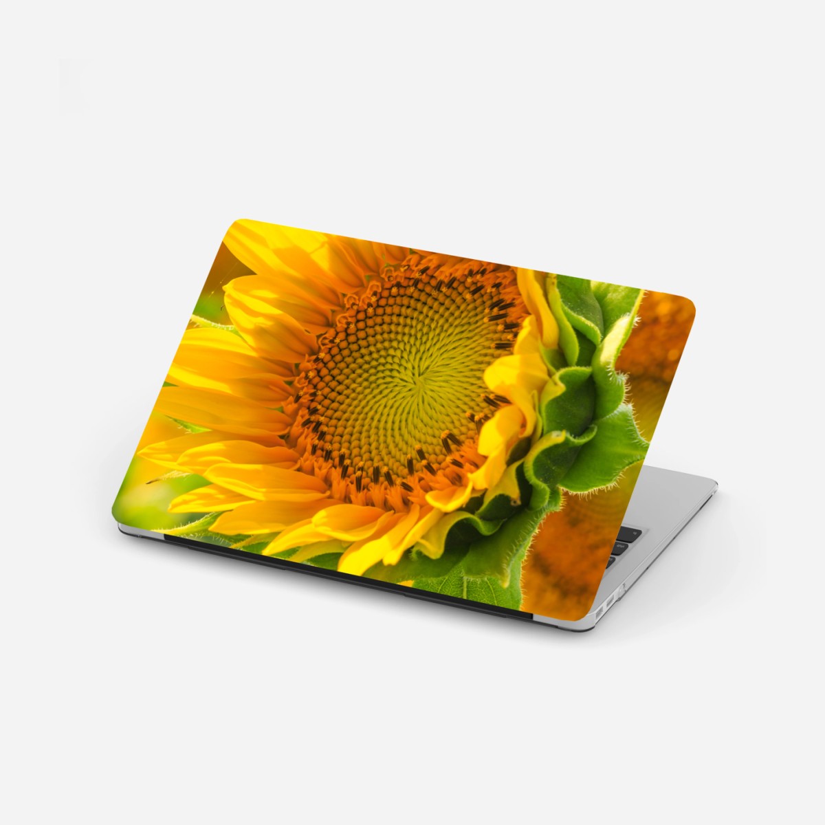 Adesivo per laptop girasole in primo piano dal colore solare • Wallissimo®