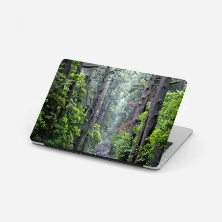 Adesivo per laptop sentiero silenzioso nella foresta secolare • Wallissimo®