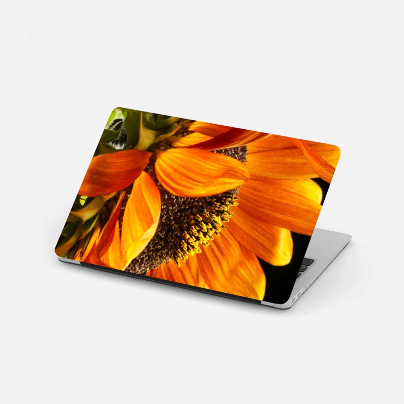 Adesivo per laptop girasole arancione in primo piano