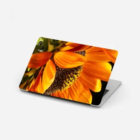 Adesivo per laptop girasole arancione in primo piano • Wallissimo®