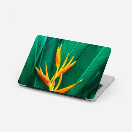 Adesivo per laptop fiore tropicale su fogliame verde intenso • Wallissimo®