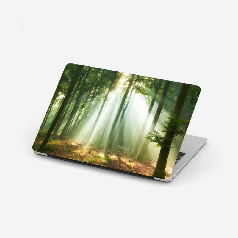 Adesivo per laptop mattino nel bosco: raggi di luce tra gli alberi