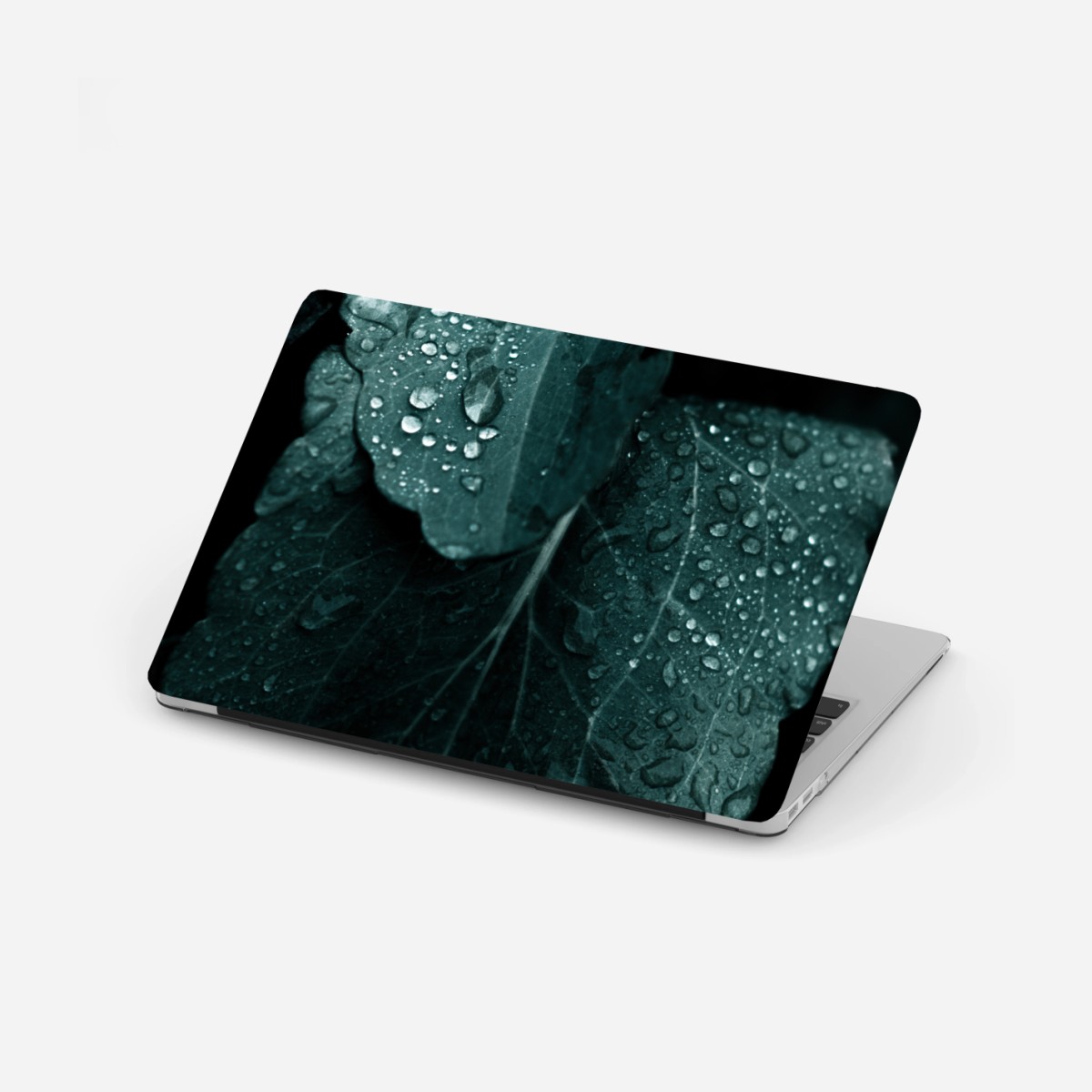 Adesivo per laptop dettaglio botanico: foglia con gocce • Wallissimo®