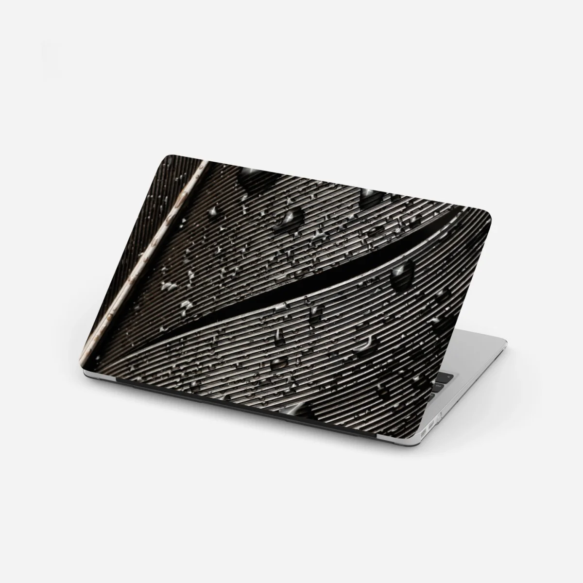 Adesivo per laptop dettaglio di piuma bagnata in bianco e nero • Wallissimo® Adesivo per laptop dettaglio di piuma bagnata in bianco e nero • Wallissimo®