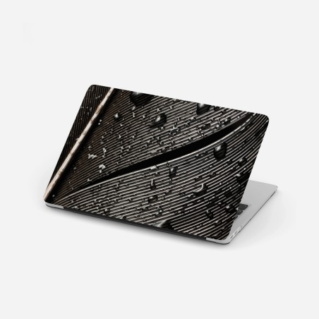 Adesivo per laptop dettaglio di piuma bagnata in bianco e nero • Wallissimo®