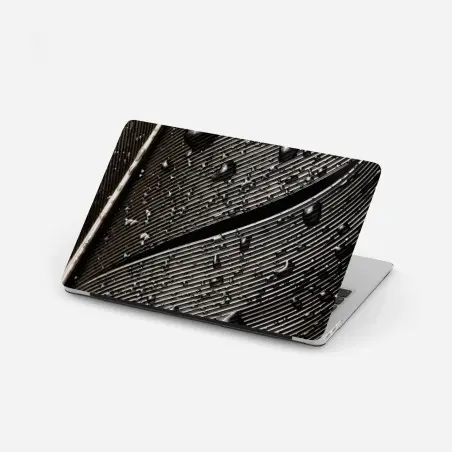 Adesivo per laptop dettaglio di piuma bagnata in bianco e nero • Wallissimo®