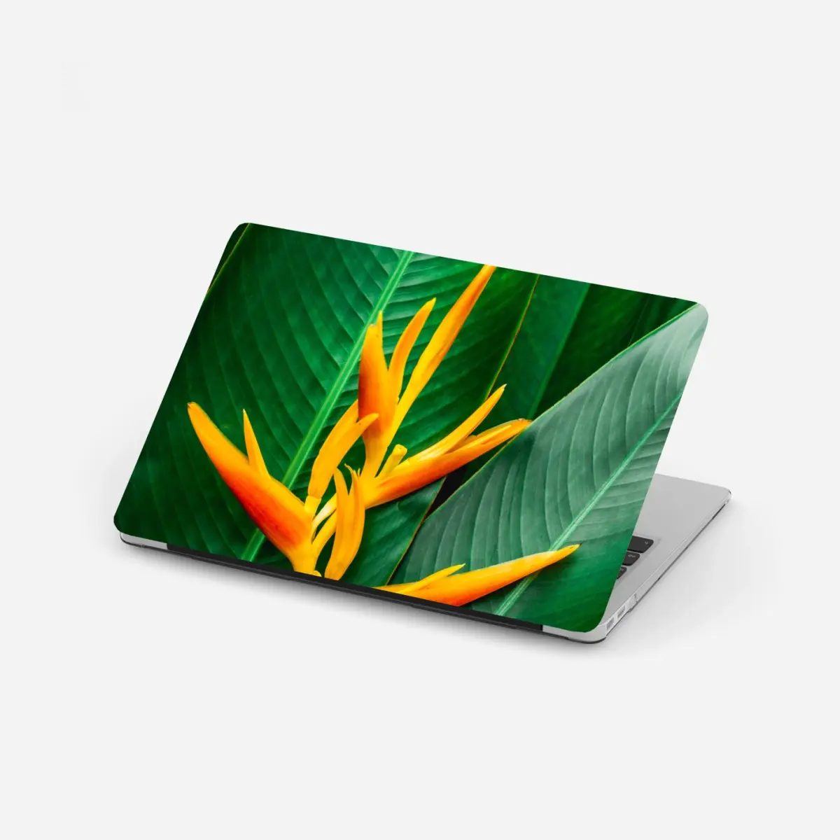 Adesivo per laptop fioritura esotica su foglie verdi • Wallissimo®