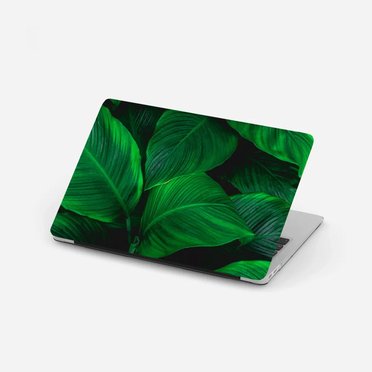 Adesivo per laptop oasi verde: foglie tropicali in primo piano • Wallissimo®