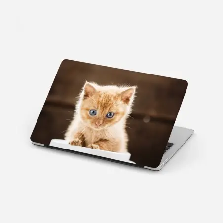 Adesivo per laptop gattino arancione nella tazza • Wallissimo®