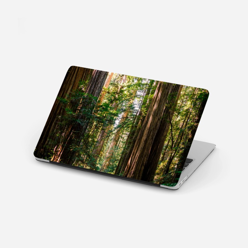 Adesivo per laptop sentiero tra le sequoie maestose