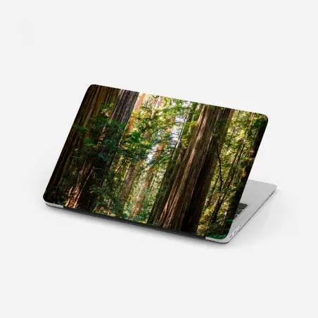 Adesivo per laptop sentiero tra le sequoie maestose • Wallissimo®