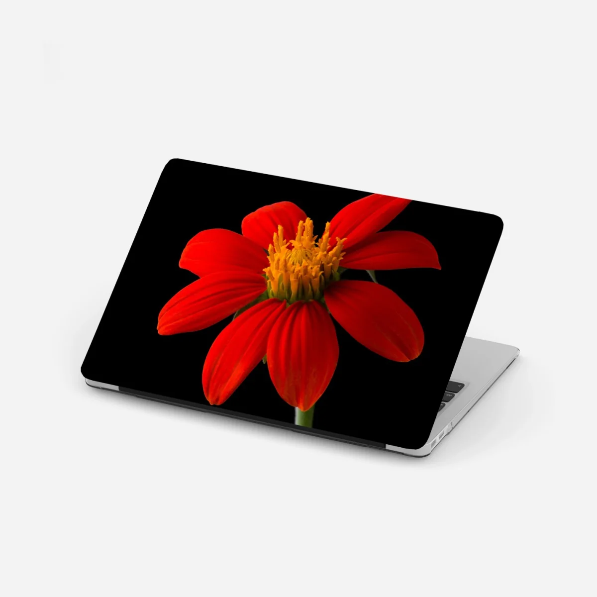 Adesivo per laptop girasole messicano su sfondo nero • Wallissimo® Adesivo per laptop girasole messicano su sfondo nero • Wallissimo®