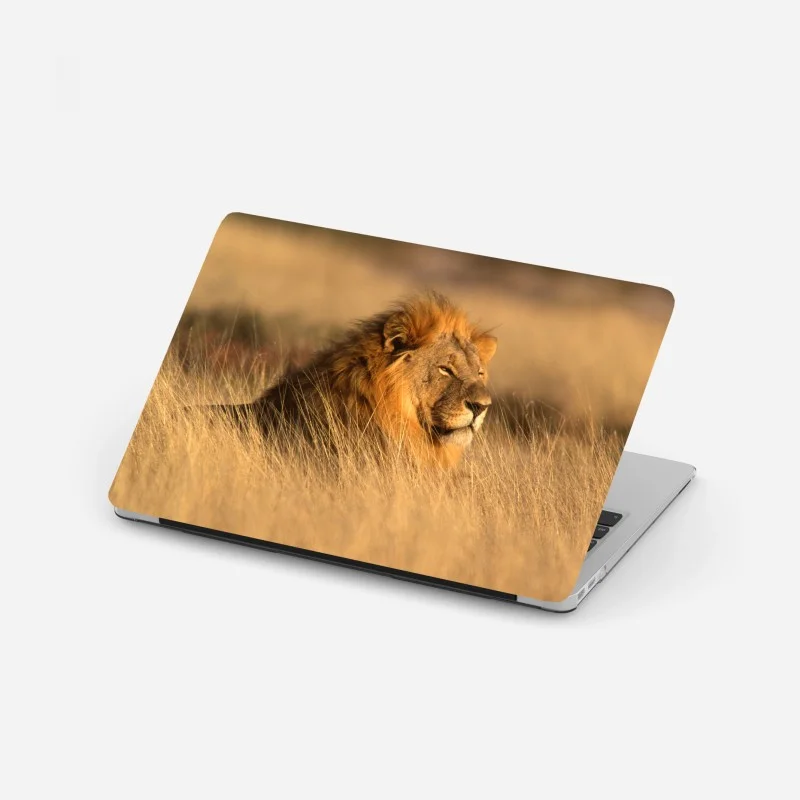 Adesivo per laptop maestoso leone nella savana dorata
