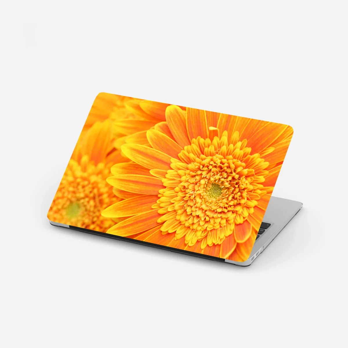 Adesivo per laptop esplosione di gerbere arancioni • Wallissimo® Adesivo per laptop esplosione di gerbere arancioni • Wallissimo®