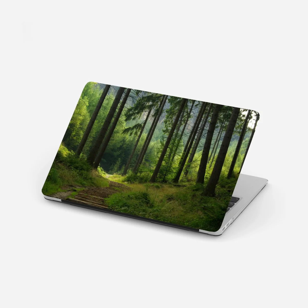 Adesivo per laptop sentiero nella foresta verde • Wallissimo® Adesivo per laptop sentiero nella foresta verde • Wallissimo®