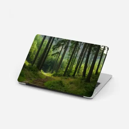 Adesivo per laptop sentiero nella foresta verde • Wallissimo®