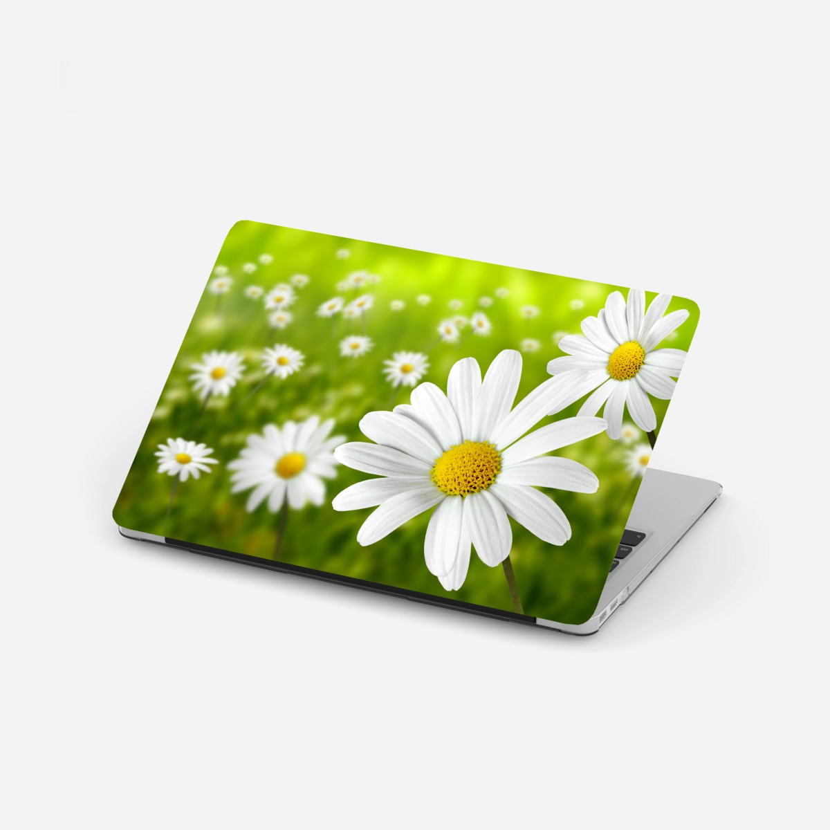 Adesivo per laptop margherite in primo piano su sfondo verde • Wallissimo®