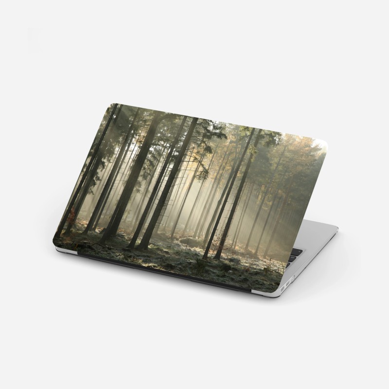 Adesivo per laptop foresta nebbiosa al mattino