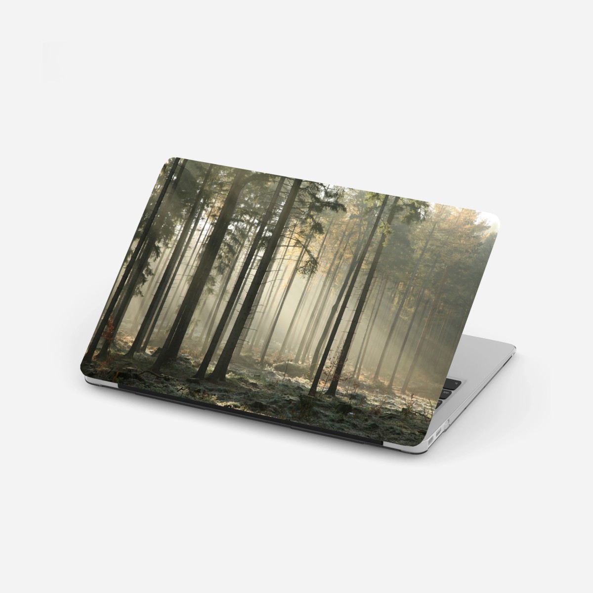 Adesivo per laptop foresta nebbiosa al mattino • Wallissimo®