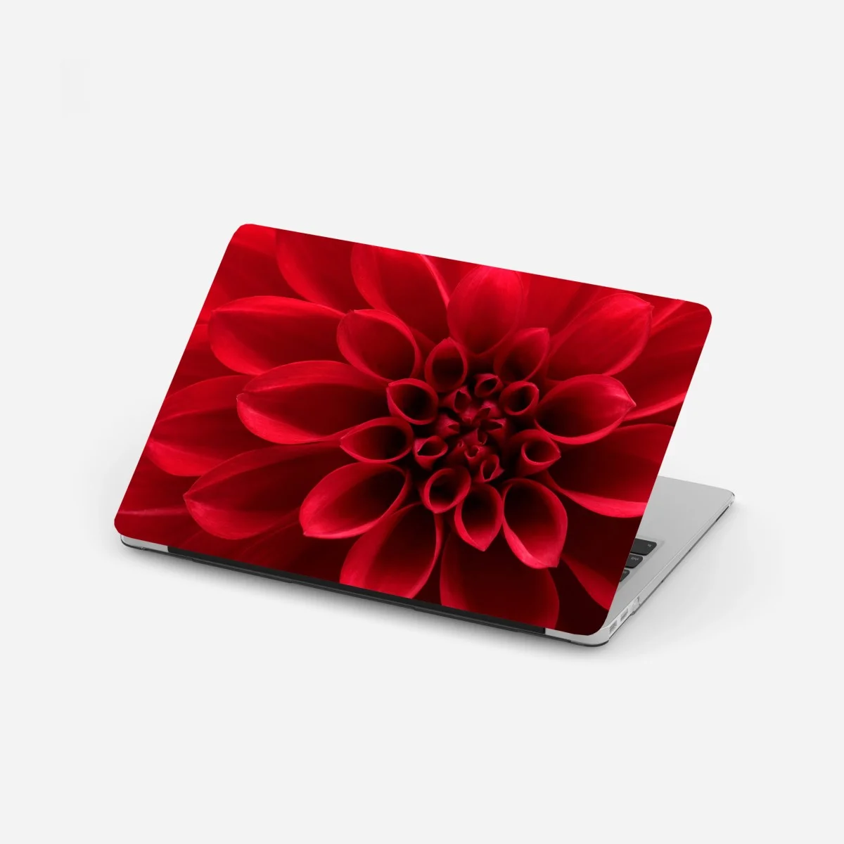 Adesivo per laptop dalia rossa in primo piano • Wallissimo® Adesivo per laptop dalia rossa in primo piano • Wallissimo®