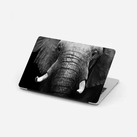Adesivo per laptop sguardo maestoso dell'elefante in primo piano • Wallissimo®