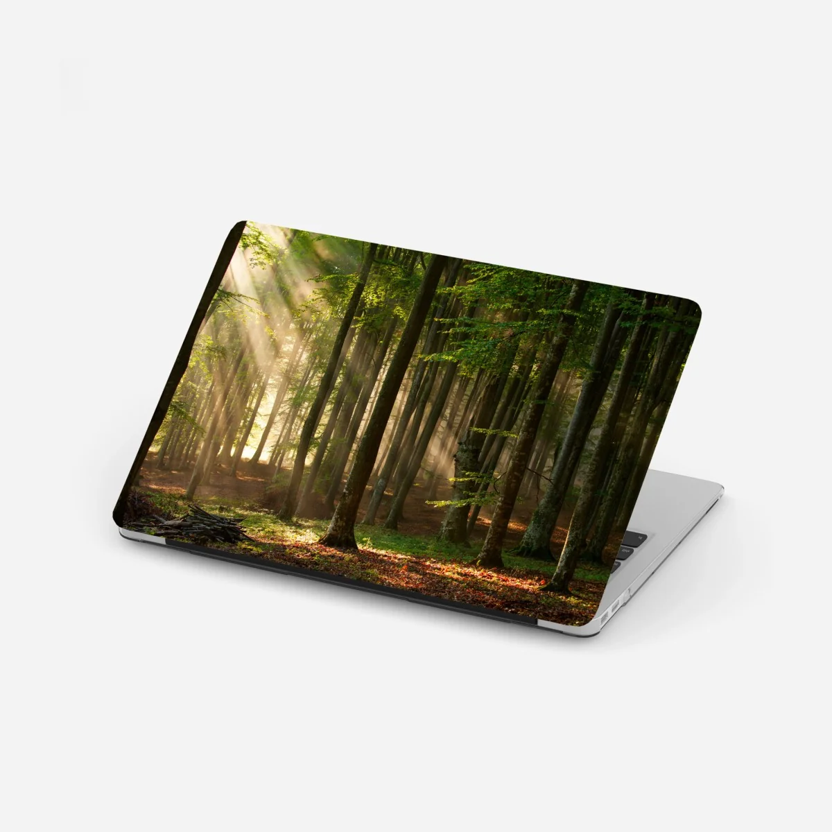 Adesivo per laptop foresta al mattino con raggi di luce • Wallissimo® Adesivo per laptop foresta al mattino con raggi di luce • Wallissimo®