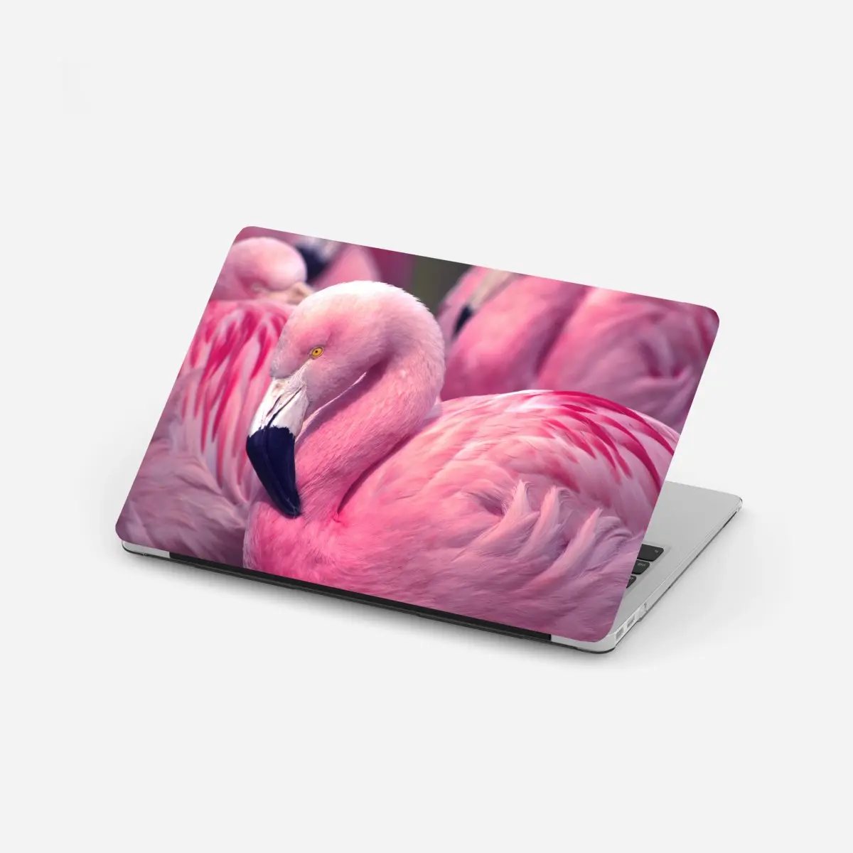 Adesivo per laptop fenicottero rosa in primo piano • Wallissimo®