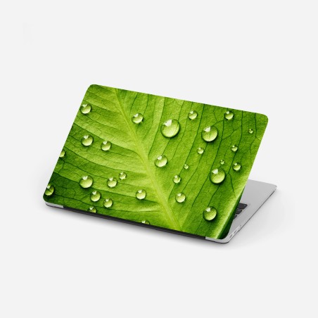 Adesivo per laptop foglia verde con gocce d'acqua • Wallissimo®