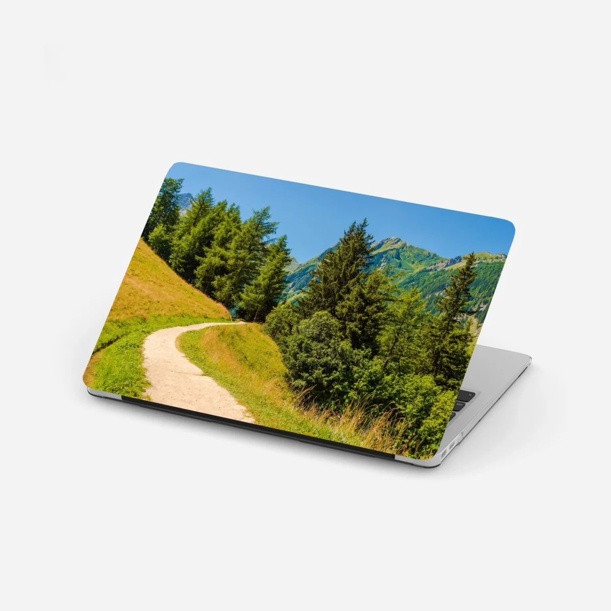 Adesivo per laptop sentiero estivo tra i pascoli delle Alpi Svizzere • Wallissimo® Adesivo per laptop sentiero estivo tra i pascoli delle Alpi Svizzere • Wallissimo®