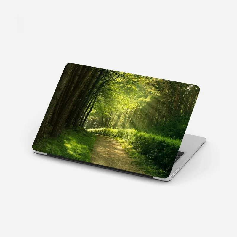 Adesivo per laptop sentiero illuminato nella foresta estiva