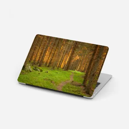 Adesivo per laptop sentiero nella foresta dorata • Wallissimo®