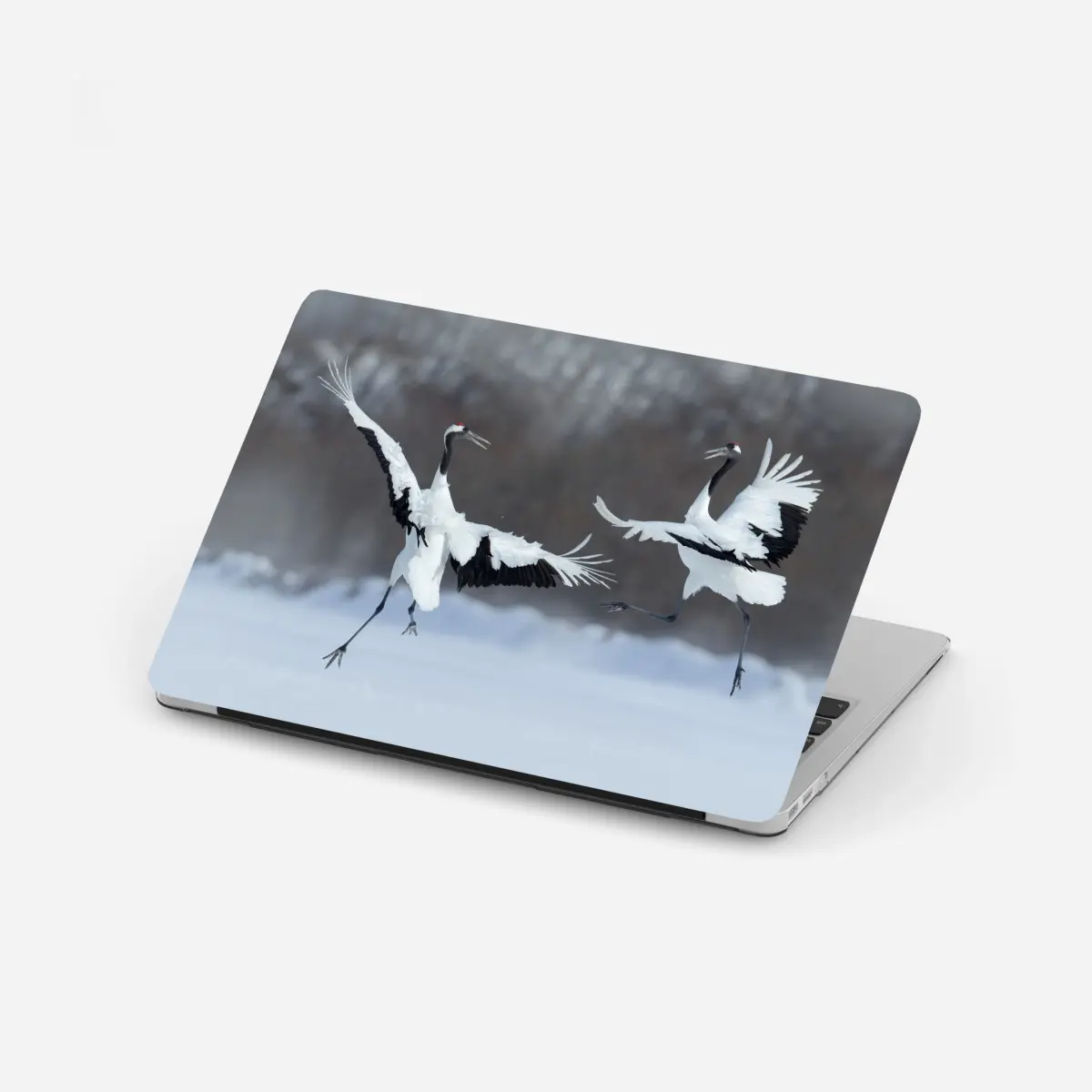 Adesivo per laptop danza delle gru di Hokkaido nella neve • Wallissimo®
