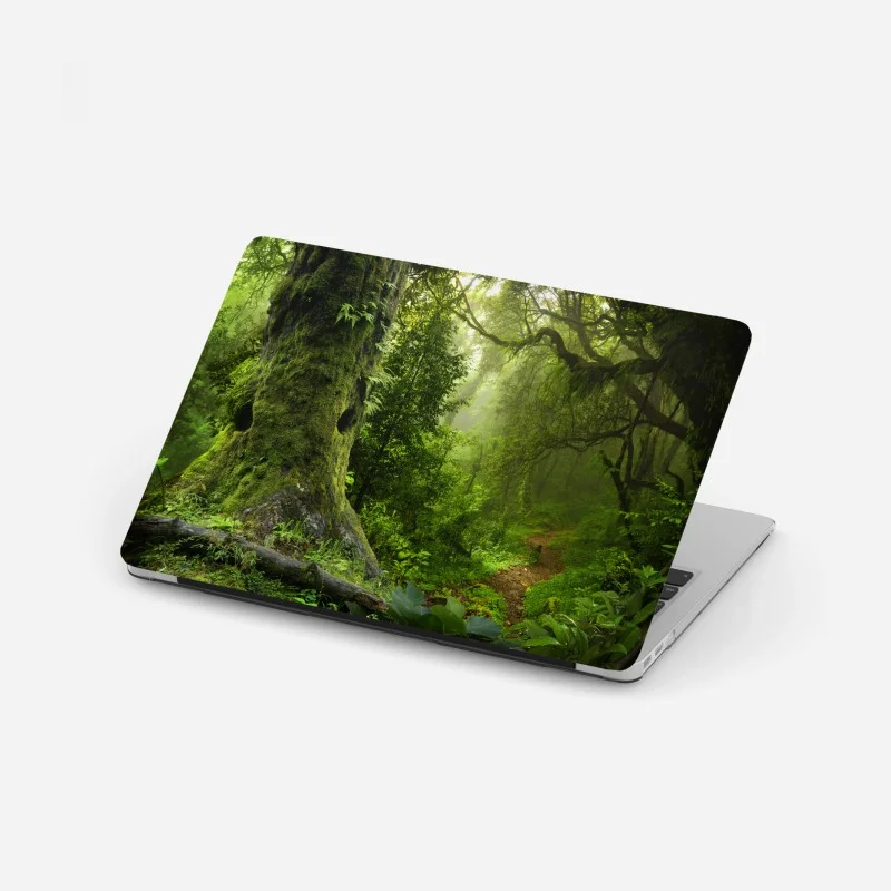 Adesivo per laptop foresta incantata: sentiero tra alberi secolari