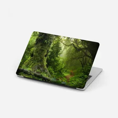 Adesivo per laptop foresta incantata: sentiero tra alberi secolari • Wallissimo®